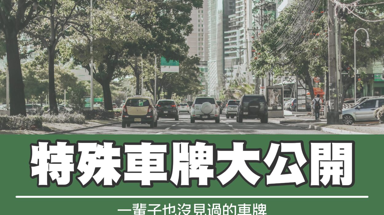 特殊車牌大公開