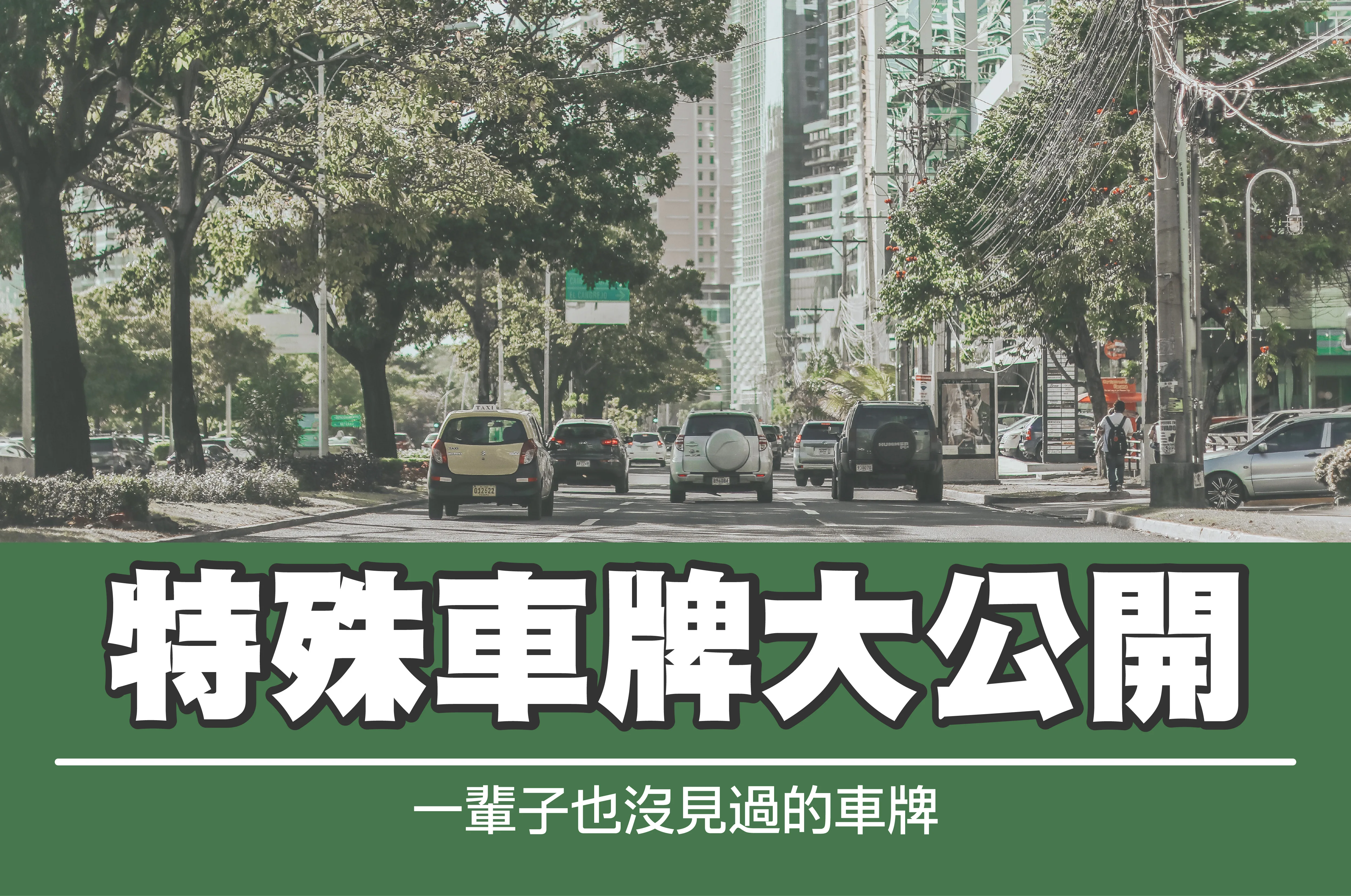 特殊車牌大公開