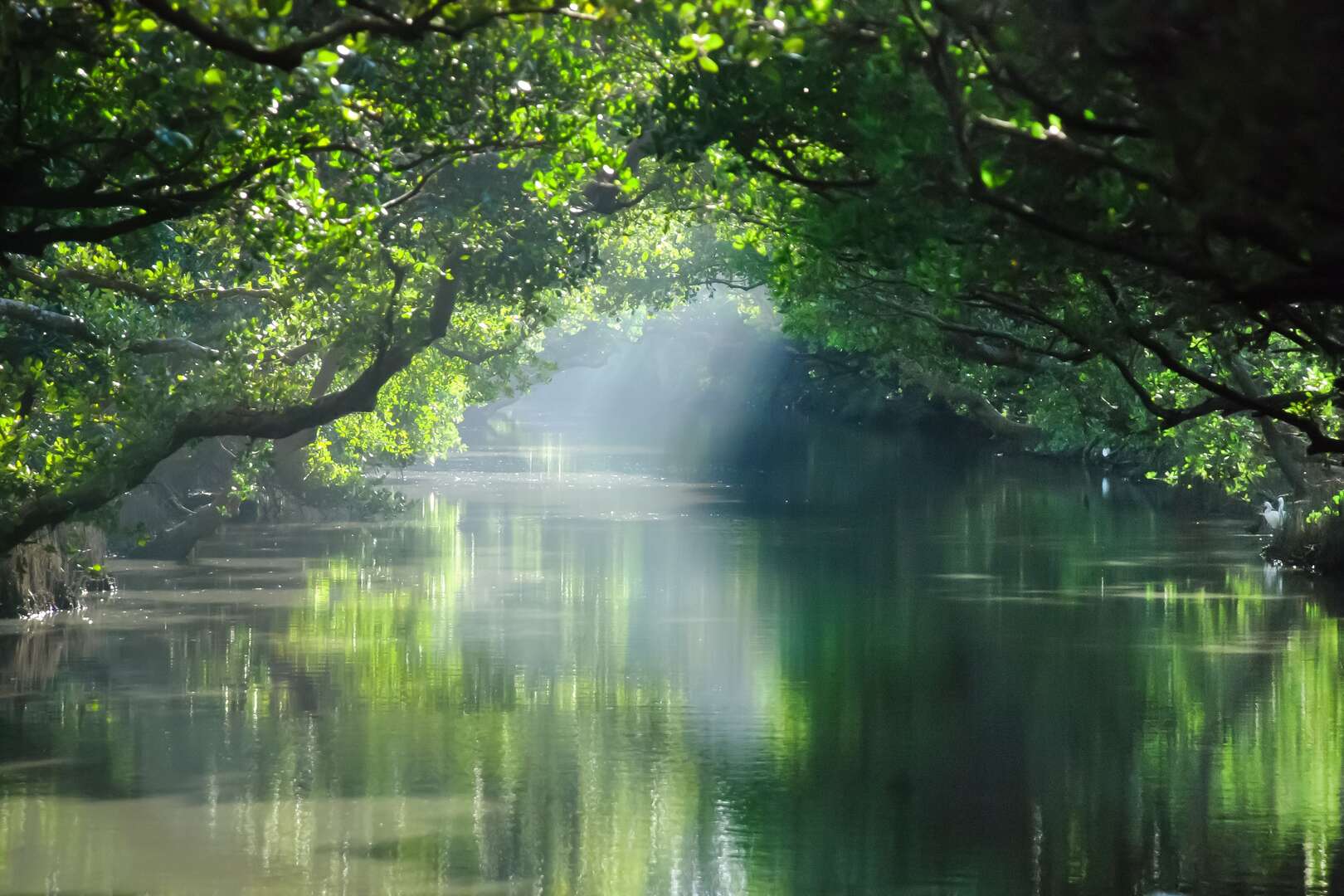 台南必遊:四草綠色隧道,一日遊周邊景點、美食攻略 1920x1080 filedata635592731877164085 https://gonews.com.tw/wp-content/uploads/2026/03/yunjiananbinhaiguojiafengjingquguanlichu.jpg