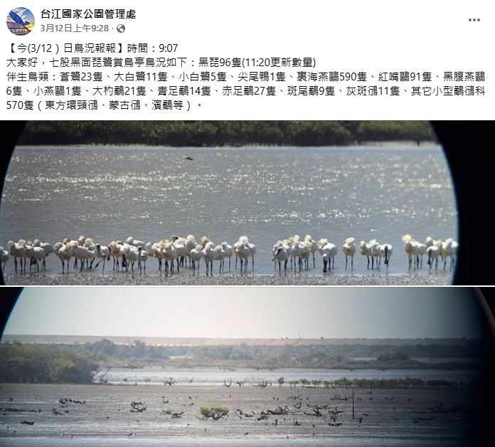 fenzhuan https://gonews.com.tw/wp-content/uploads/2026/04/gaoqiaohengfanzhiqushangniaoting-1.jpg